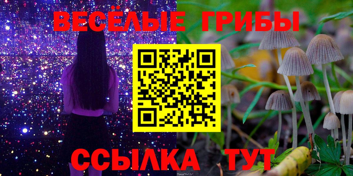 купить закладку  Галлюциногенные грибы MAGIC MUSHROOMS  Минусинск  Вход с VPN  Псилоцибиновые грибы прущие грибы 